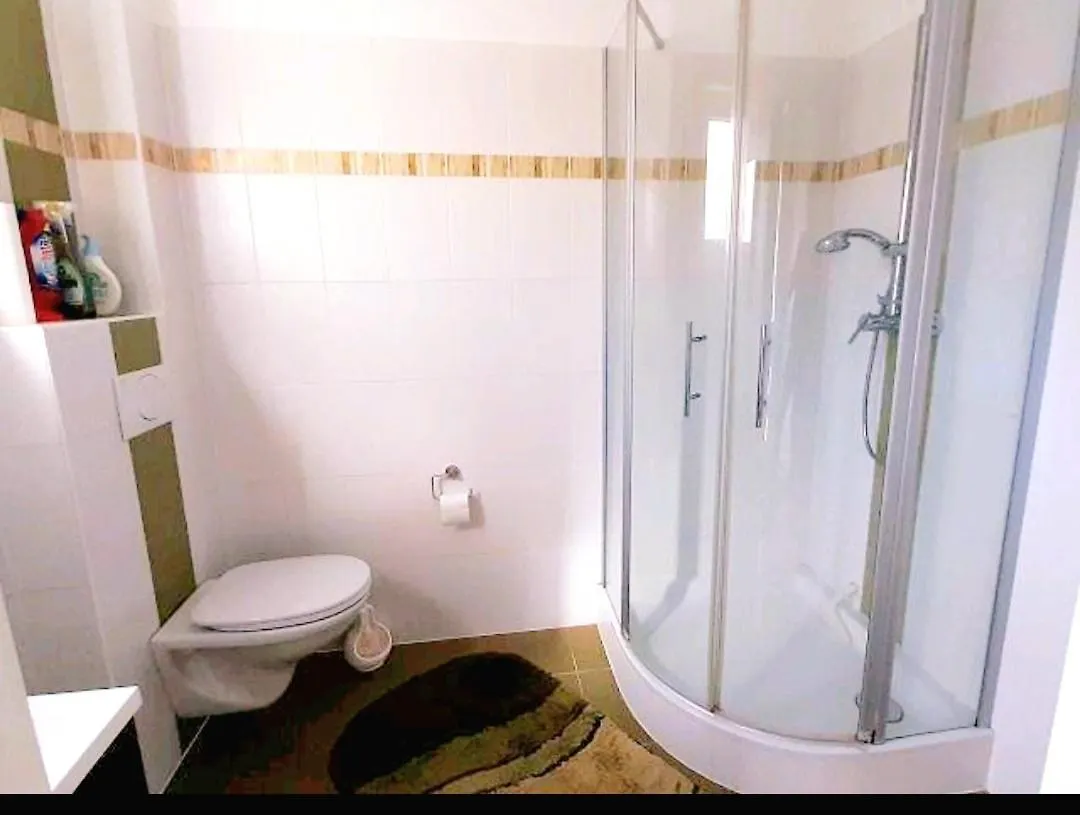 Villa With Pool - Big Garden - Barbecue - Free Parking Βιέννη 0*,