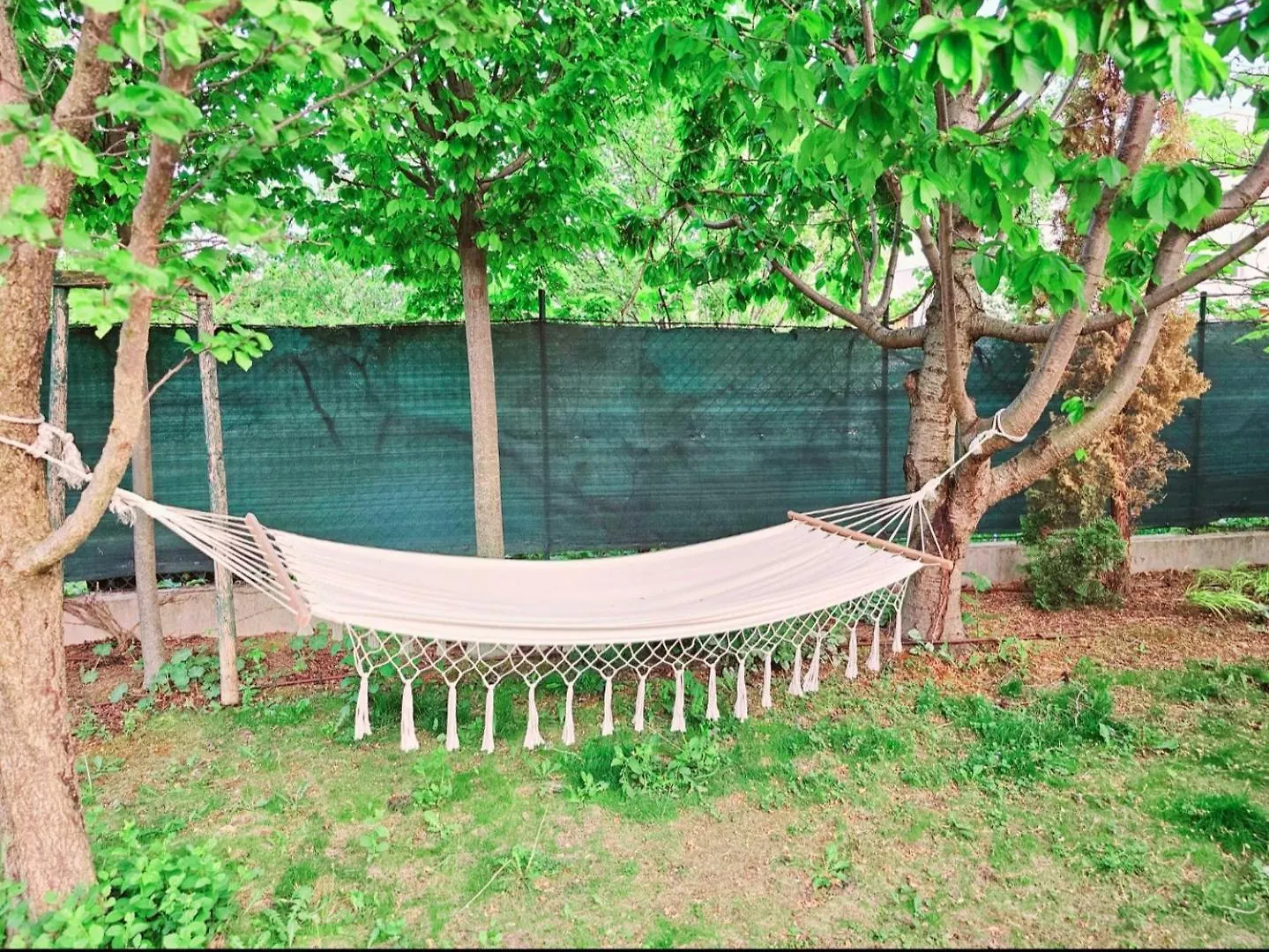Villa With Pool - Big Garden - Barbecue - Free Parking Βιέννη